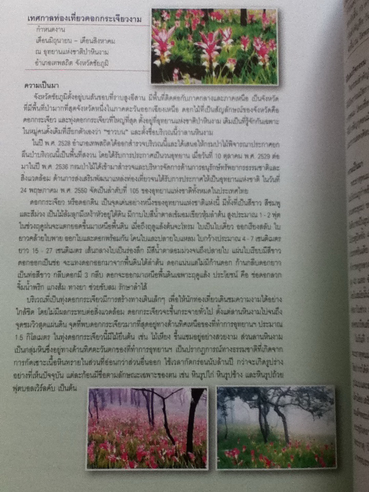 หนังสือเทศกาลงานประเพณีที่น่าสนใจทางการท่องเที่ยว
