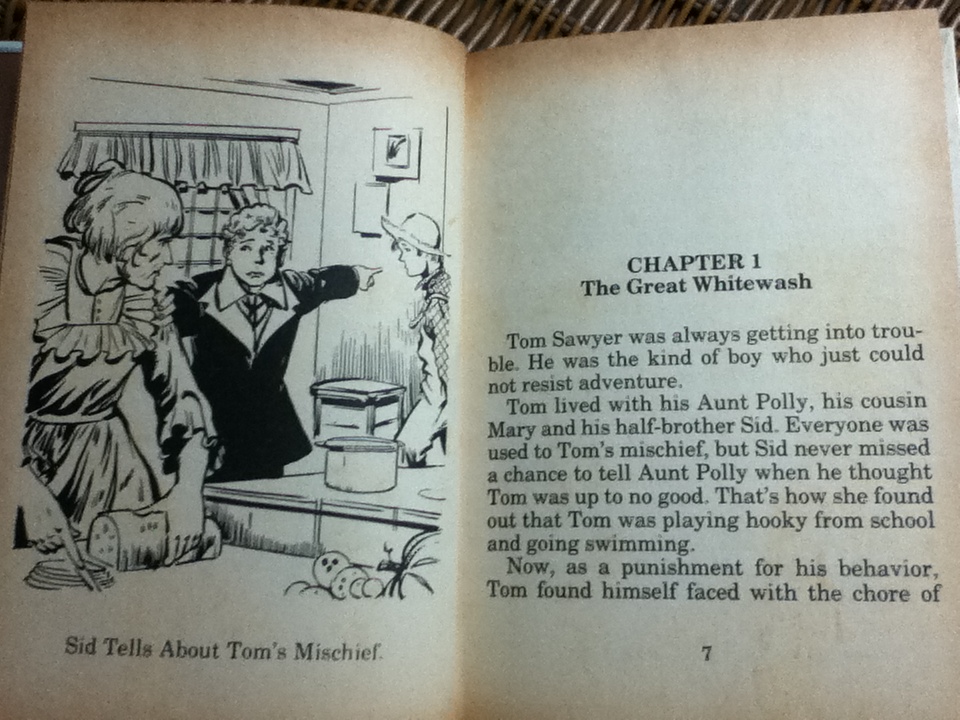 THE ADVENTURES OF TOM SAWYER/ Mark Twain