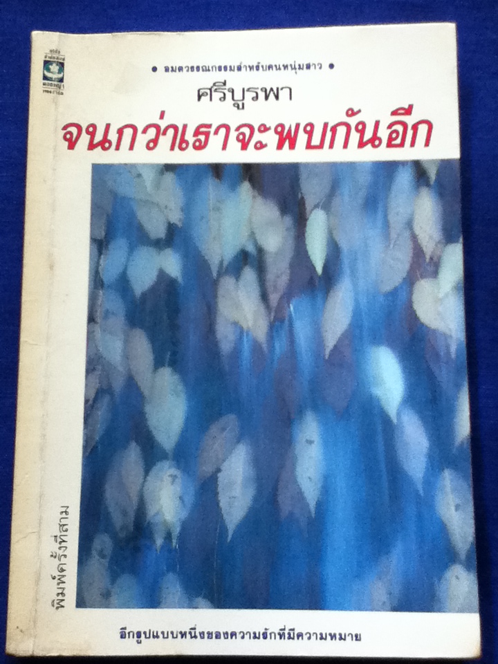 จนกว่าเราจะพบกันอีก