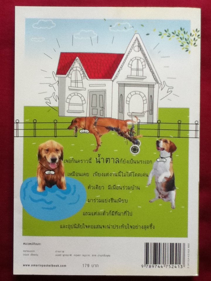 หมายอดนักวิ่ง 2 น้ำตาล ตอนเพื่อนร่วมบ้าน