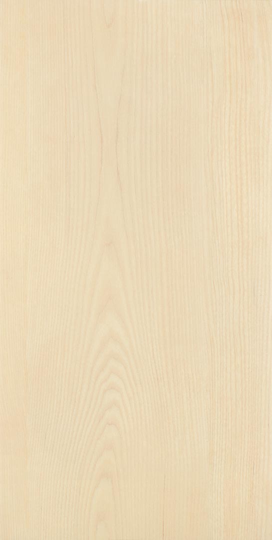 WT 12X24 ทรอมป์ โบน ตัดขอบ (PK8) PM