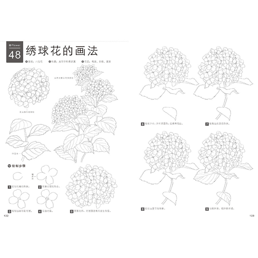 (Pre-order) หนังสือสเก็ตช์ดินสอภาพพืช