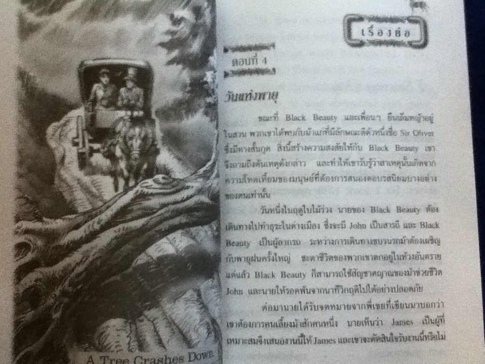 BLACK BEAUTY (ภาษาอังกฤษ พร้อมเรื่องย่อภาษาไทยและคำแปลศัพท์ทุกหน้า)