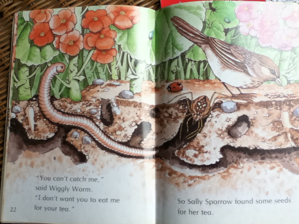 Wiggly Worm และ Splendid Sea Creatures รวม 2 เล่ม