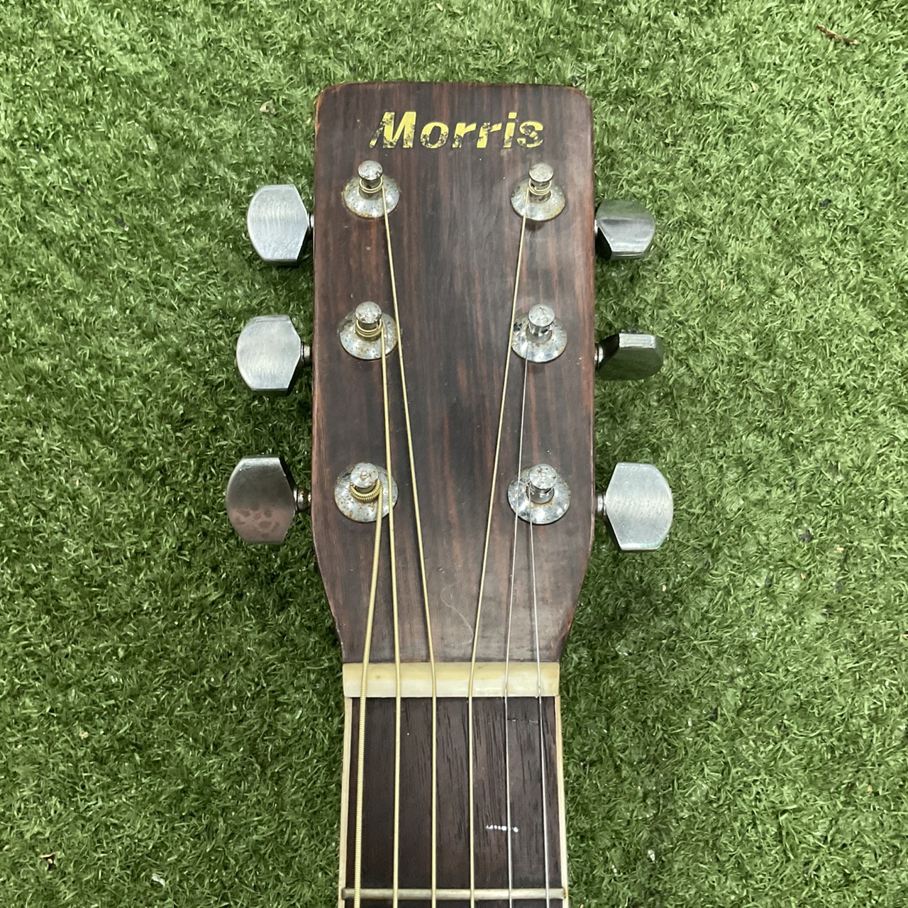 กีต้าร์โปร่ง Morris : W-20 (สำหรับมือซ้าย)