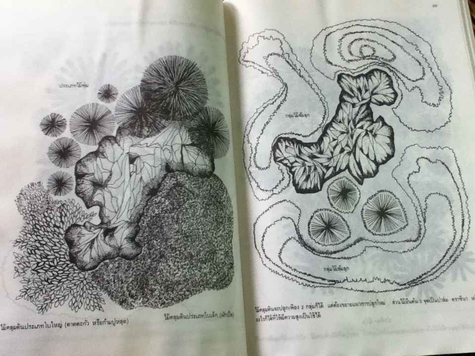 หลักการออกแบบตกแต่งบริเวณ/ จักรผัน อักกพันธานนท์