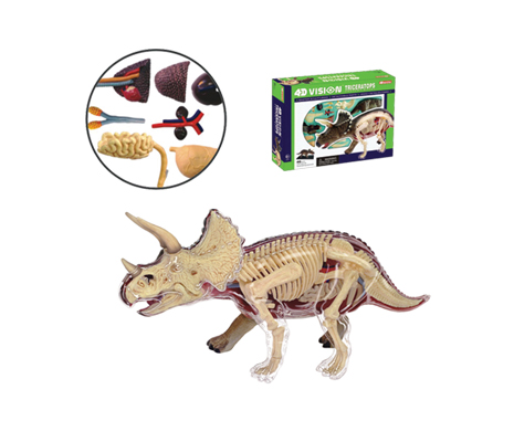หุ่นไดโนเสาร์ Triceratops 4D Vision