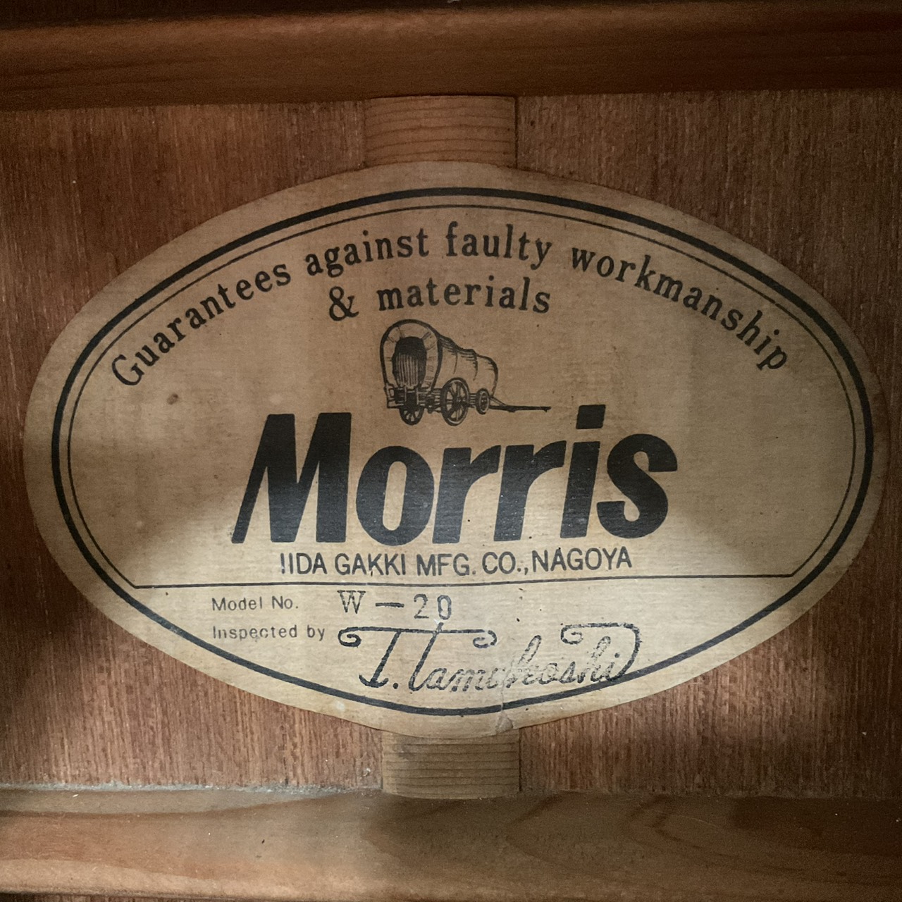 กีต้าร์โปร่ง Morris : W-20