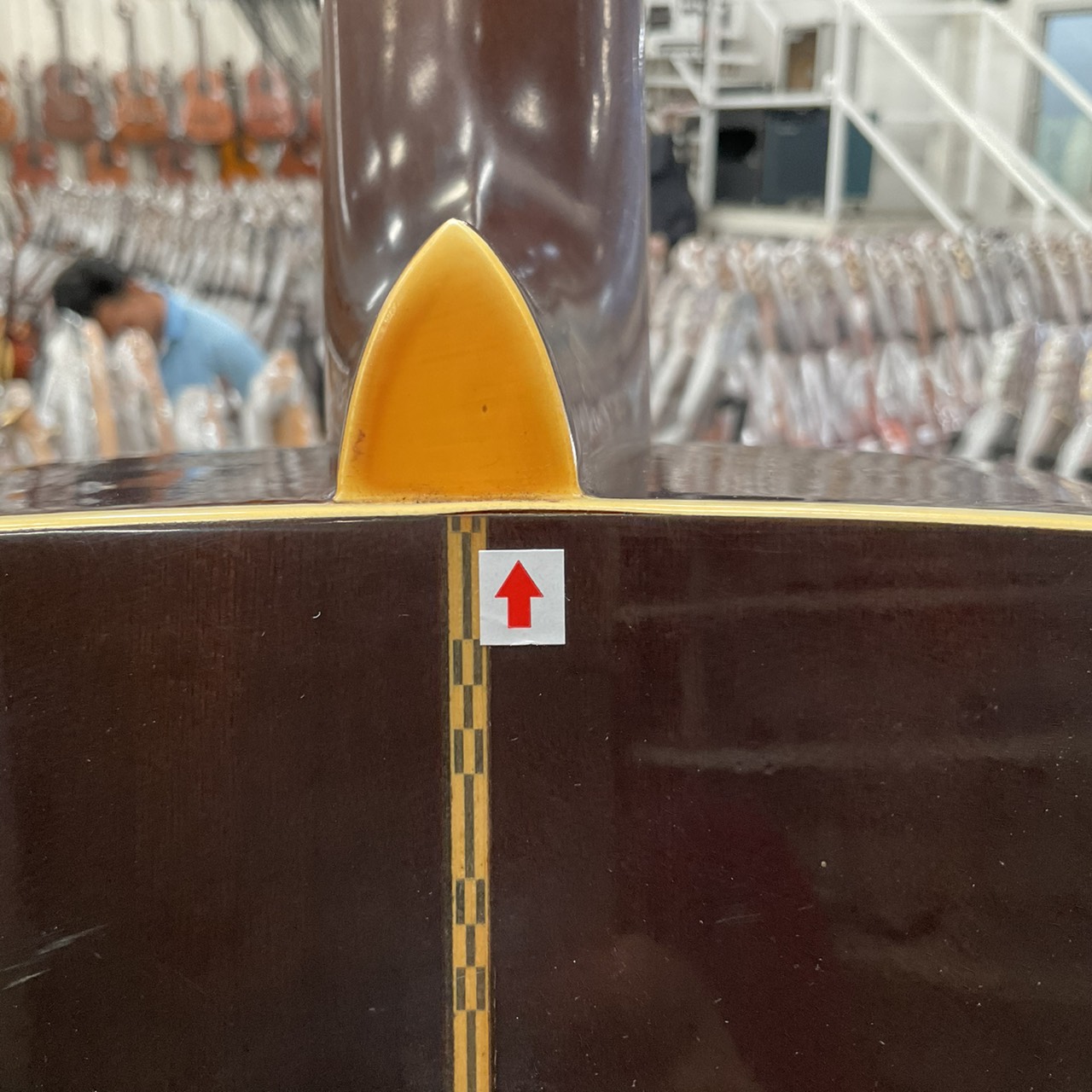 กีต้าร์โปร่ง Morris : W-20