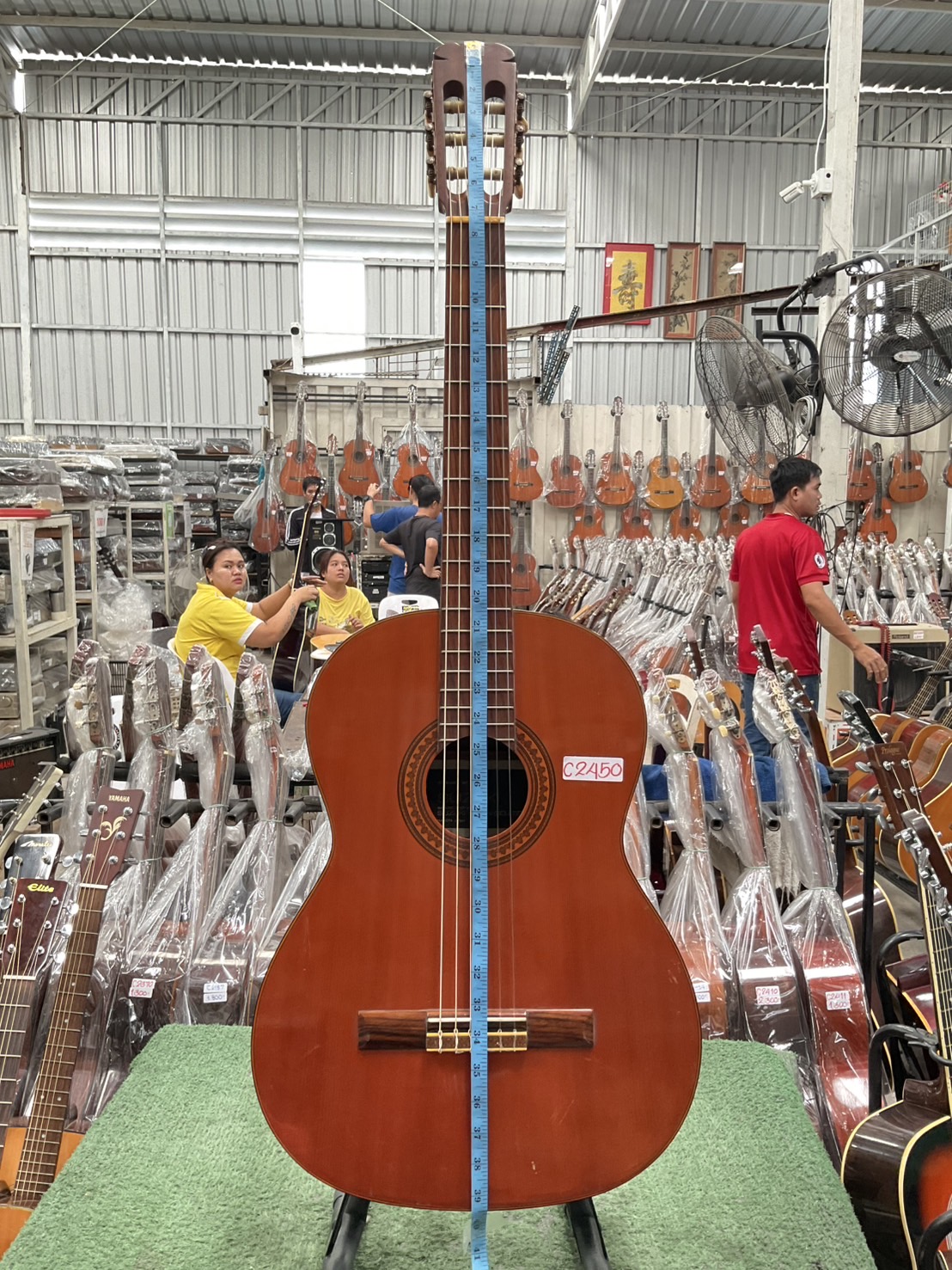 กีต้าร์คลาสสิค SUZUKI : No.36