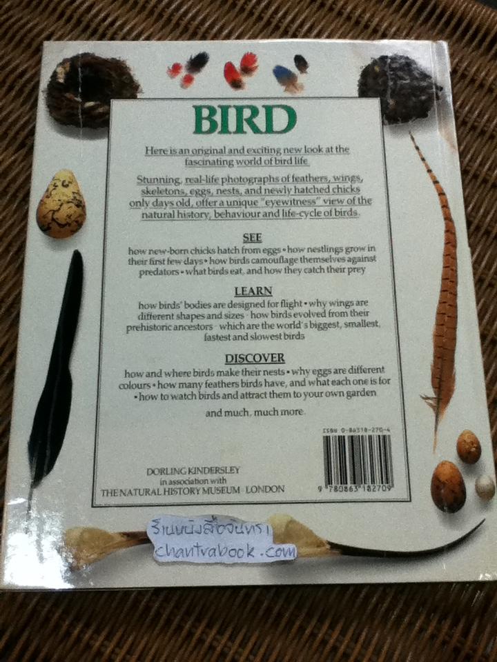 EYEWITNESS GUIDES 9 เล่ม