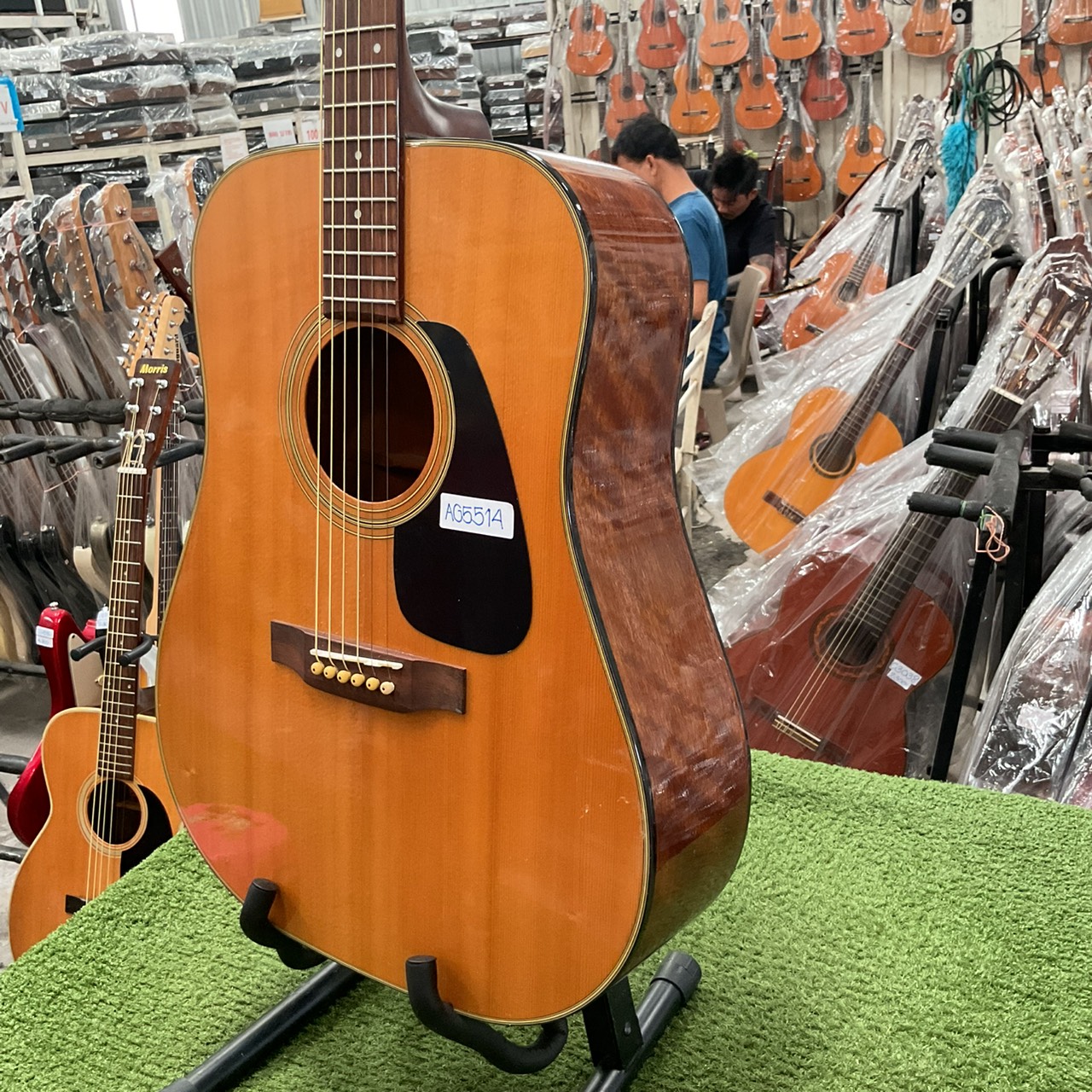 กีต้าร์โปร่ง Morris : MD-503