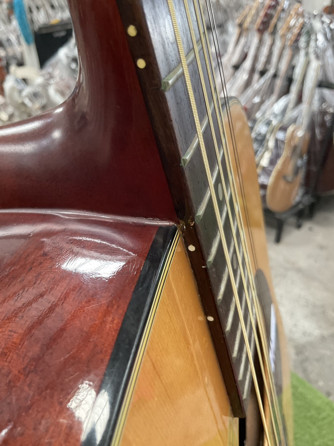 กีต้าร์โปร่ง Morris : W-15