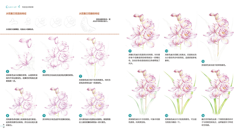 (Pre-order) หนังสือสอนระบายสีไม้ภาพดอกไม้สำหรับระดับเริ่มต้น Life is a flower