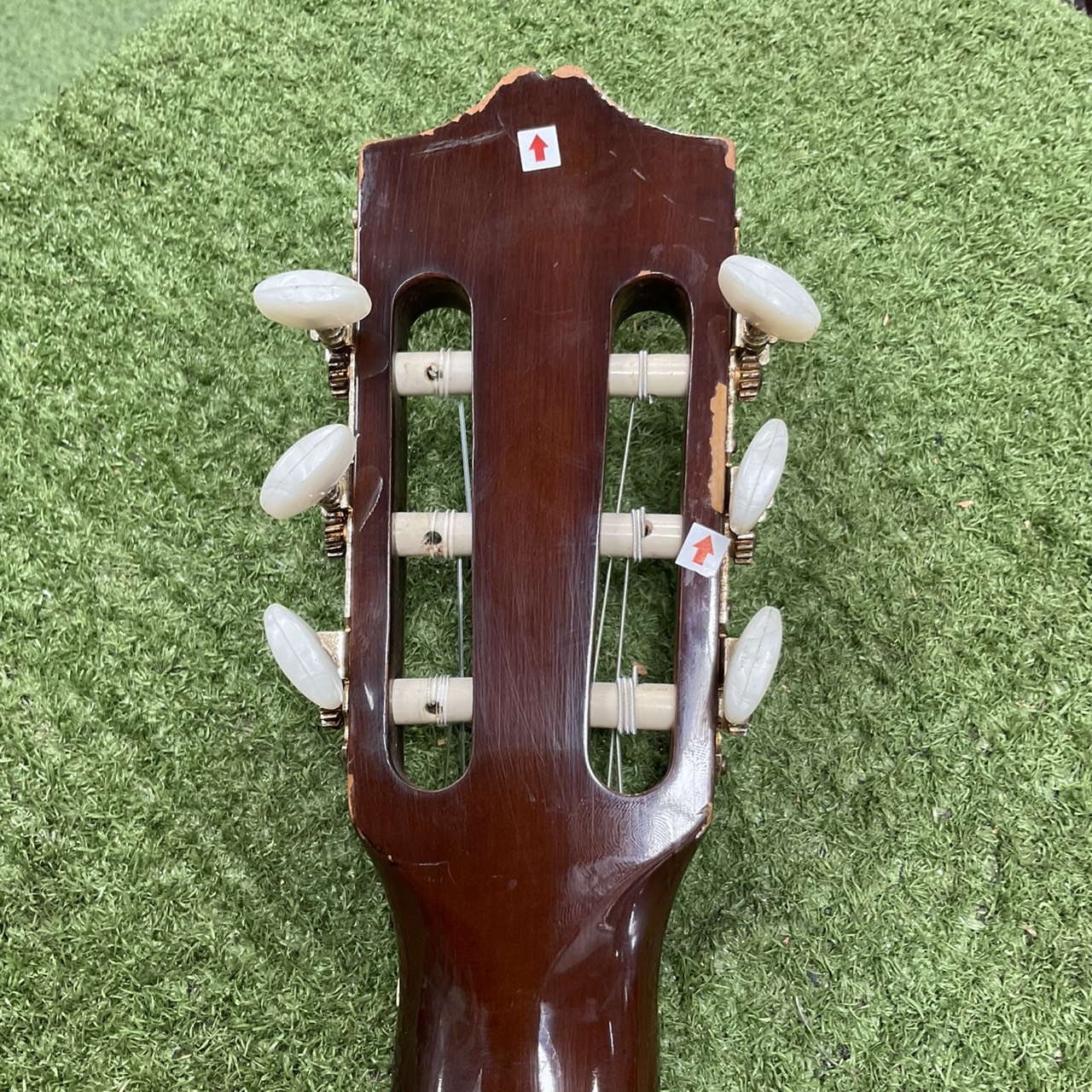 กีต้าร์คลาสสิค Serena : SG-O