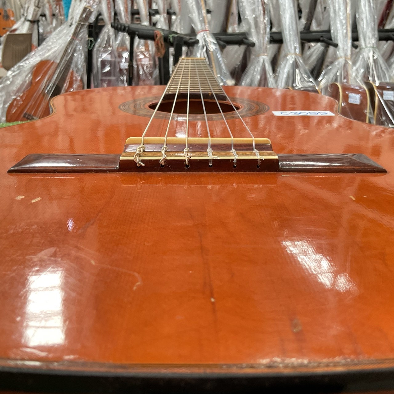 กีต้าร์คลาสสิค 鈴木 (Suzuki) : 34R