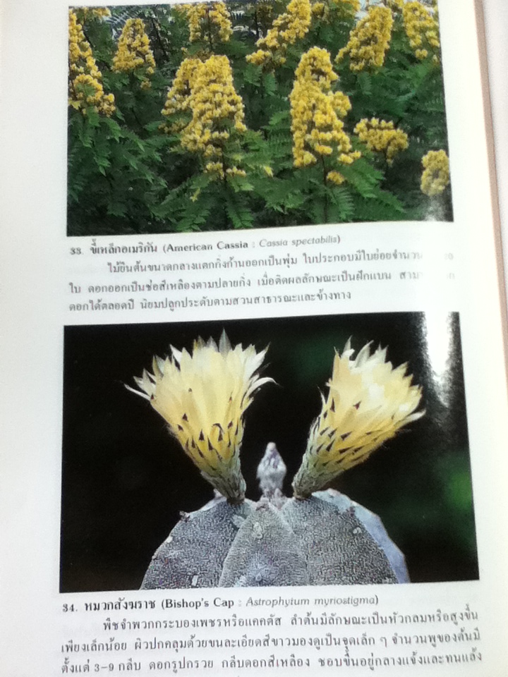 ไม้ดอกไม้ประดับ เล่ม 2 (หนังสือแถม)