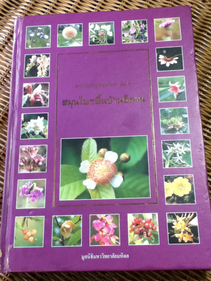 สารานุกรมสมุนไพร เล่ม 5 สมุนไพรพื้นบ้านอีสาน/ รศ.ดร.วงศ์สถิตย์ ฉั่วกุล และคณะ