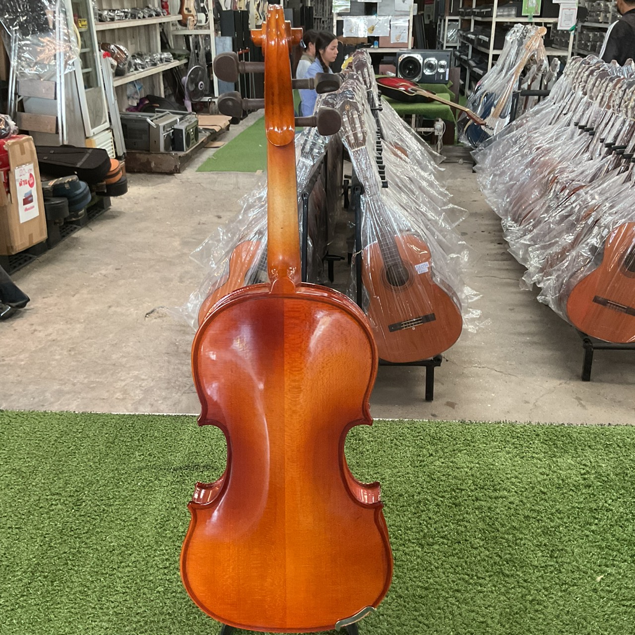 ไวโอลิน Stentor : RO69423