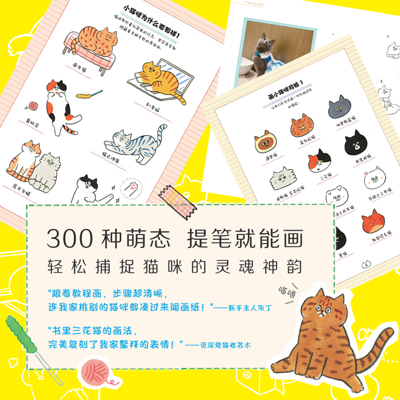 (ลดราคา-มีรอยจากการขนส่ง) หนังสือวาดน้องเหมียวน่ารักใน 3 นาที