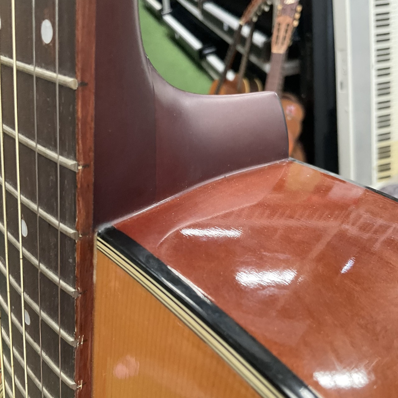 กีต้าร์โปร่ง Morris : MD-501