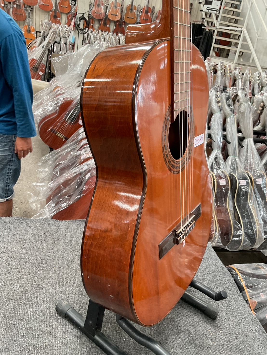 กีต้าร์คลาสสิค Zen-on Gut : No.50