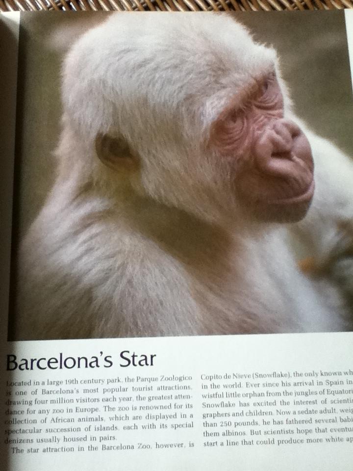 Life in Zoos & Preserves หนังสือชุดWild,Wild World of Animals