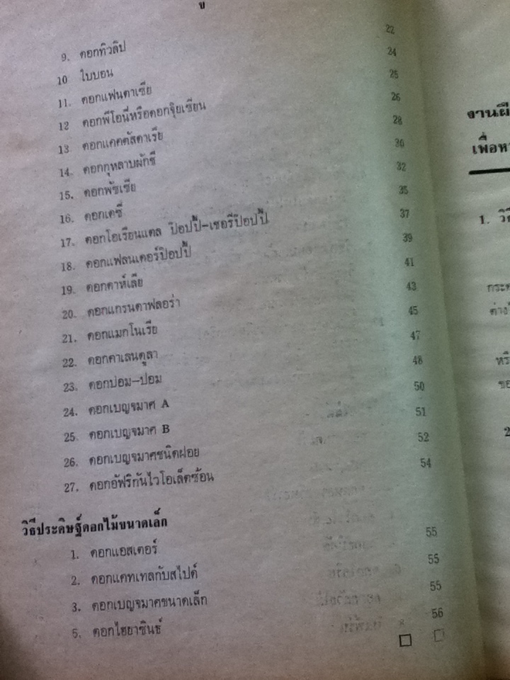 วิธีประดิษฐ์ดอกไม้ด้วยกระดาษ/ อาจารย์แอนนา