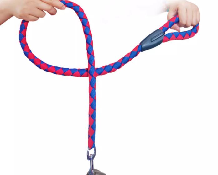 มังกรทองริบบิ้น ริบบิ้นมังกรทอง เต้นมังกรทองริบบิ้น