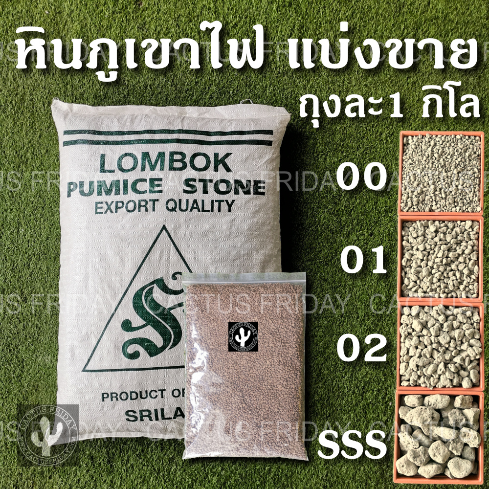 หินภูเขาไฟแท้นำเข้า แบ่งขาย 1 กิโล (Pumice stone) มีให้เลือกหลายขนาด