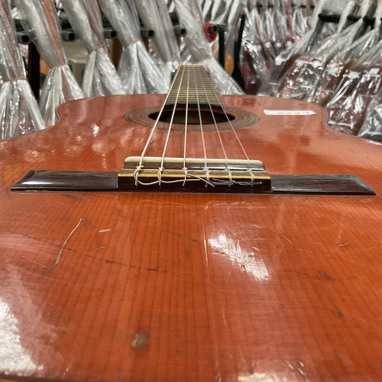 กีต้าร์คลาสสิค SUZUKI : C-10