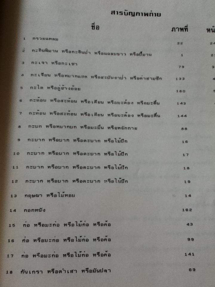 ลักษณะโครงสร้างของไม้และการตรวจพิสูจน์/ ณรงค์ โทณานนท์