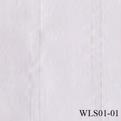 WLS01