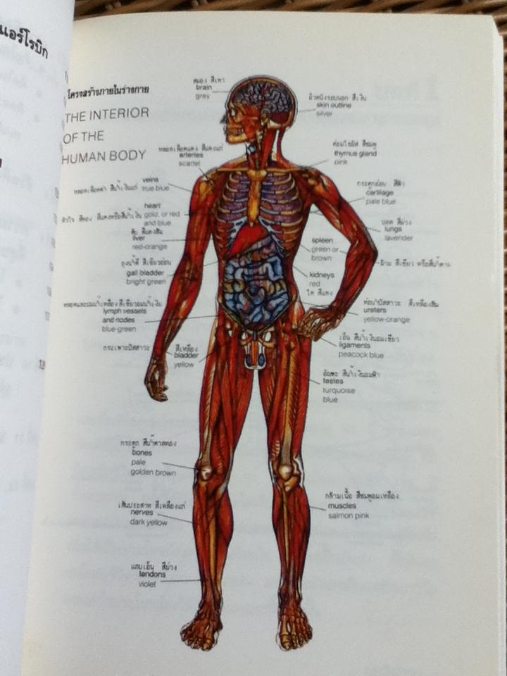 เล่นกับตัวเองอย่างไรให้สุขกาย สุขใจ ปลอดโรคภัยเกิน100ปี/ นพ.เฉก ธนะสิริ