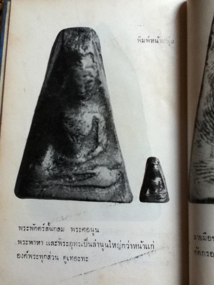 พระเครื่อง ผงสุพรรณ/ ป่าเลไลยก์