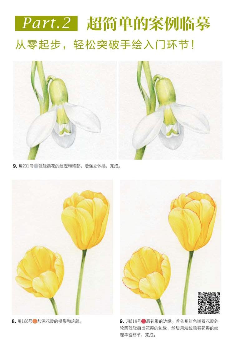 (Pre-order) หนังสือ FLOWER DRAWING