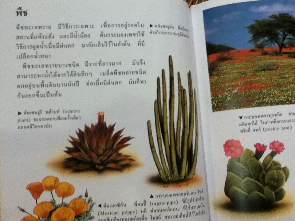 FIRST STARTS ชุดถิ่นฐานและการอนุรักษ์ 8เล่ม/ชุด