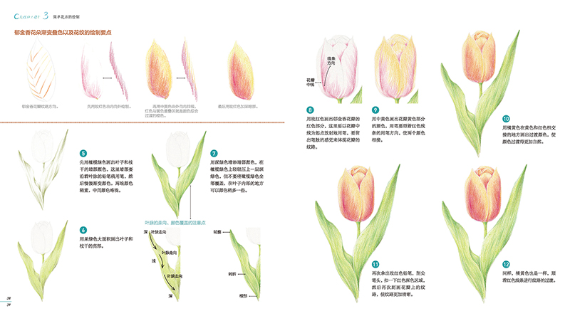 (Pre-order) หนังสือสอนระบายสีไม้ภาพดอกไม้สำหรับระดับเริ่มต้น Life is a flower