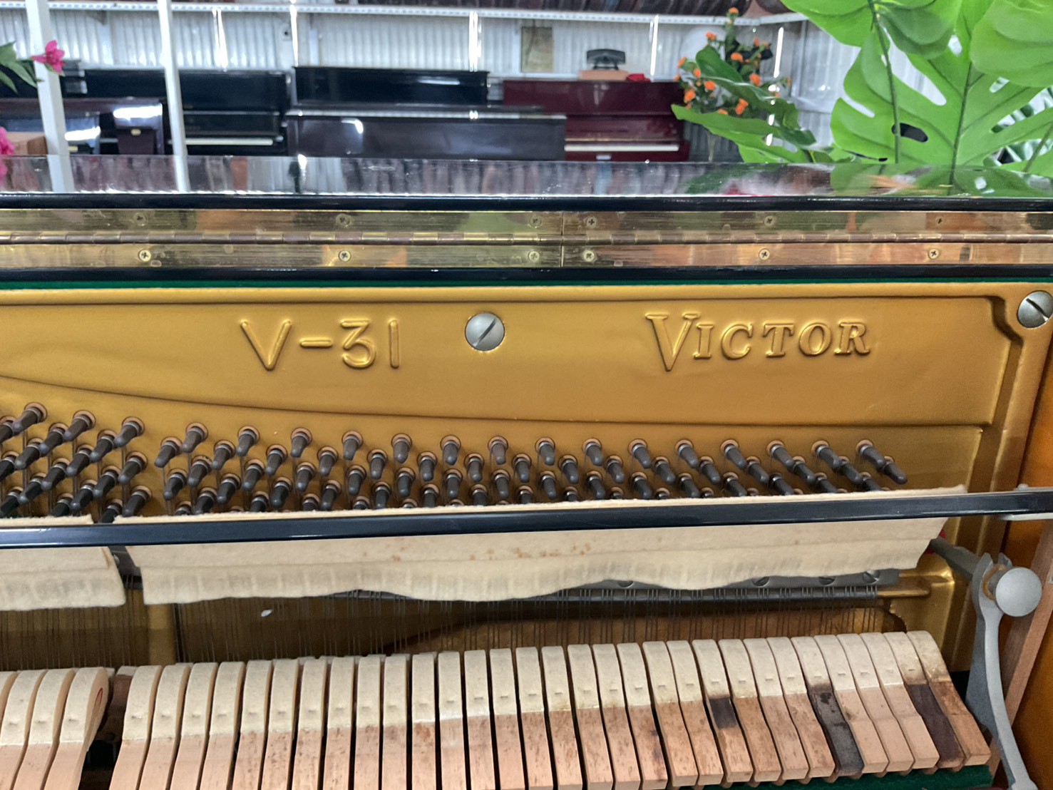 เปียโนอัพไลท์ VICTOR : V-31