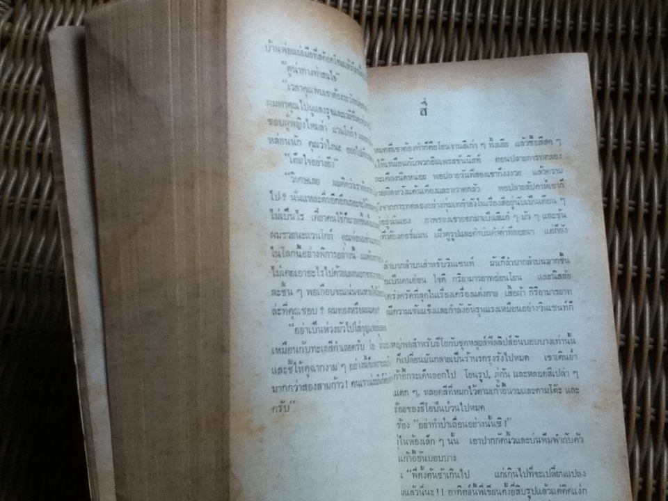 ไฟชีวิต/ เออร์วิง สโตน