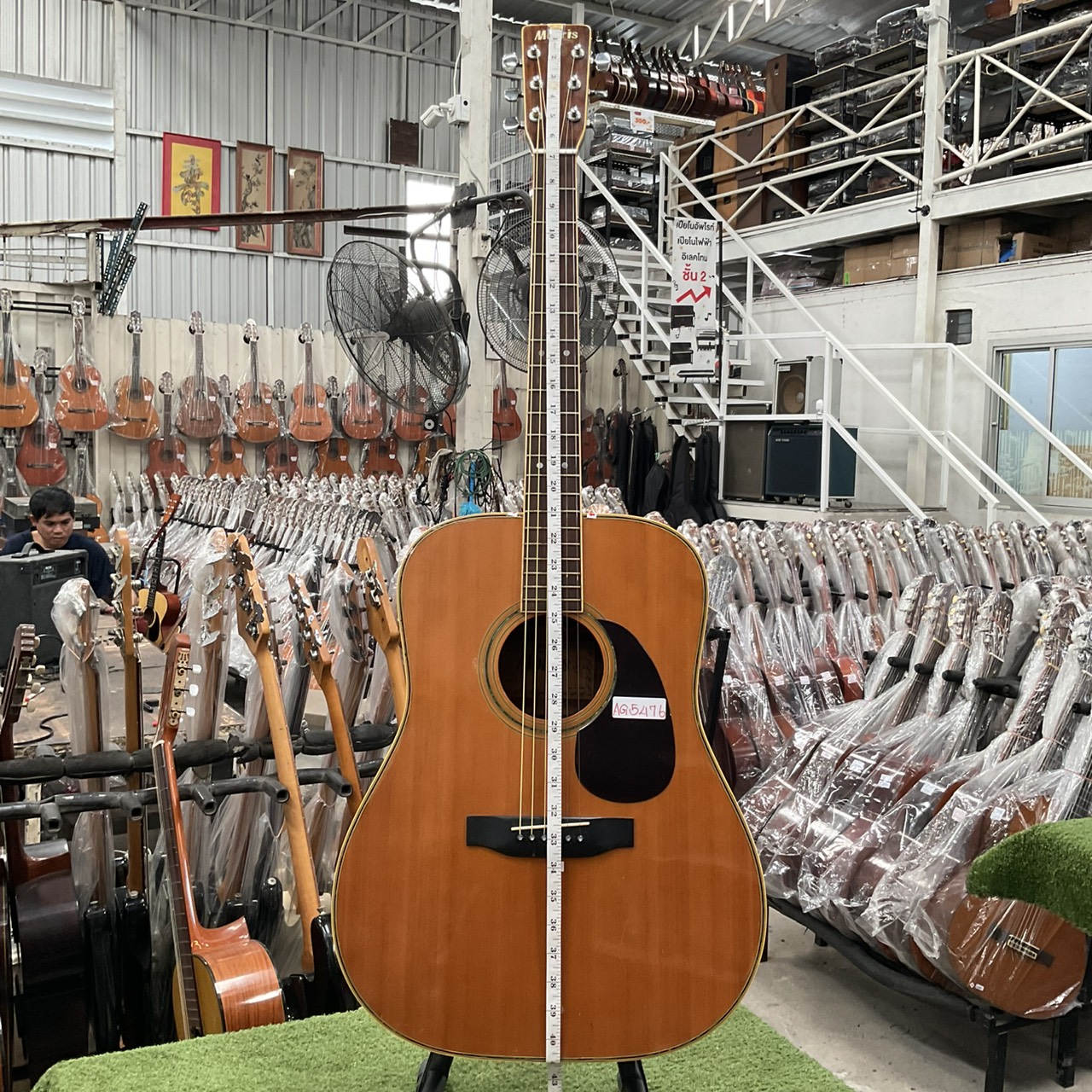 กีต้าร์โปร่ง Morris : W-30