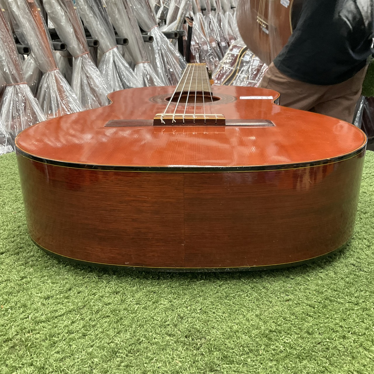 กีต้าร์คลาสสิค 鈴木 (Suzuki) : 36-R