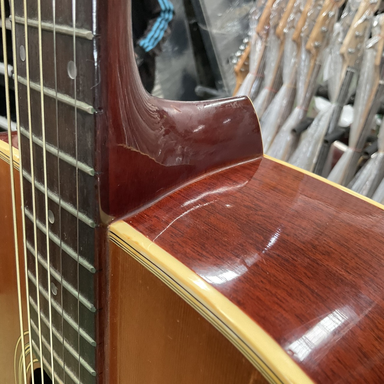 กีต้าร์โปร่ง Morris : W-18