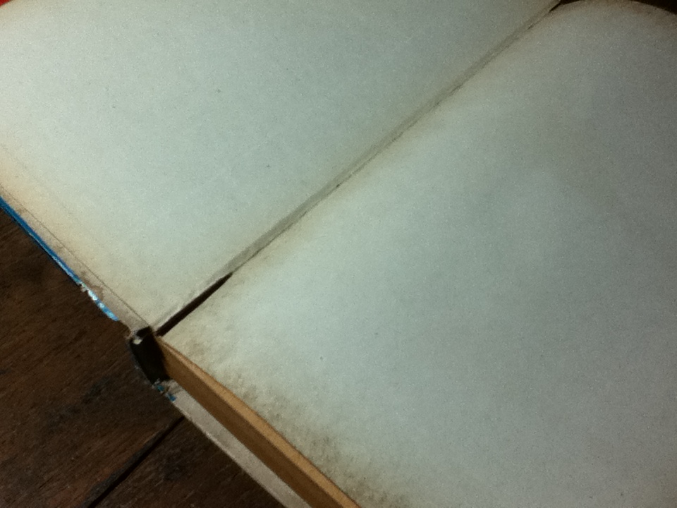 อภินิหารของพระเครื่องรางของขลัง และไสยศาสตร์/ วิเทศกรณีย์