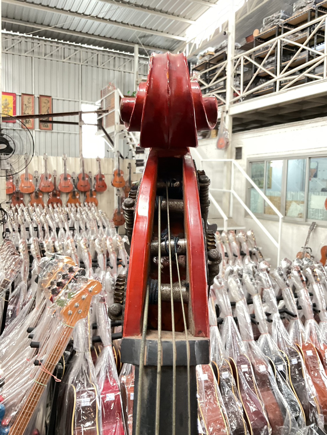 ไวโอลิน Double Bass