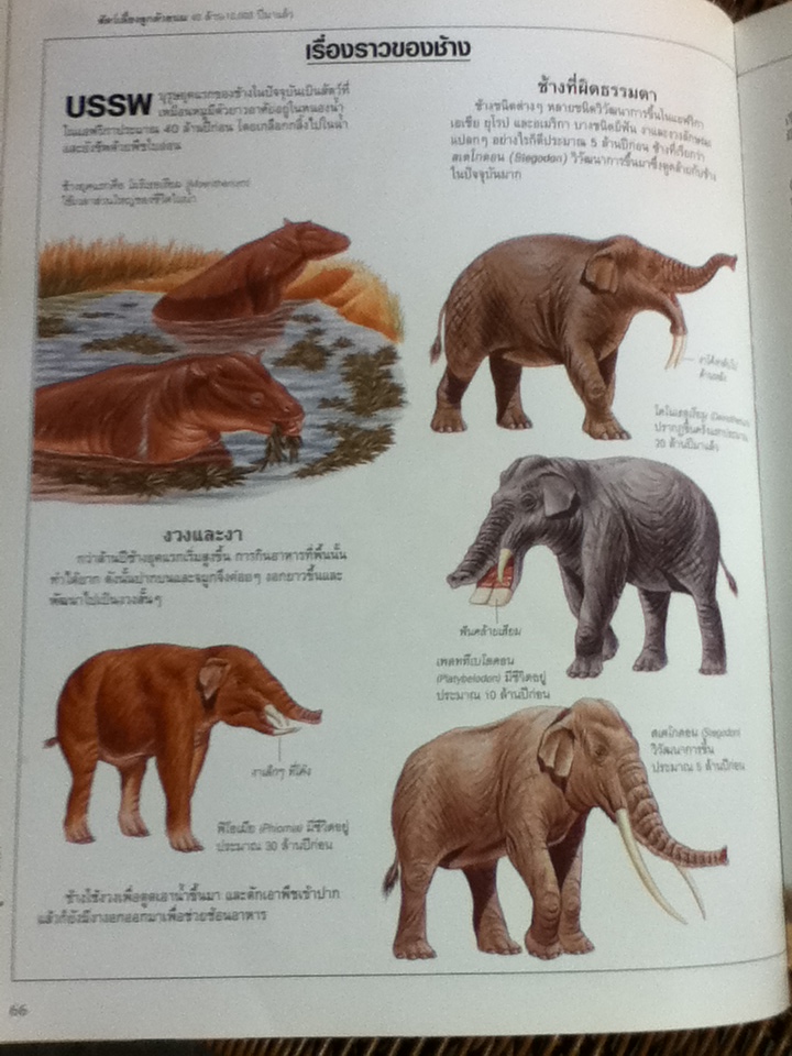 โลกยุคก่อนประวัติศาสตร์/ Fiona Chandler และคณะ/ เอมอร เอาฬาร ผู้แปล