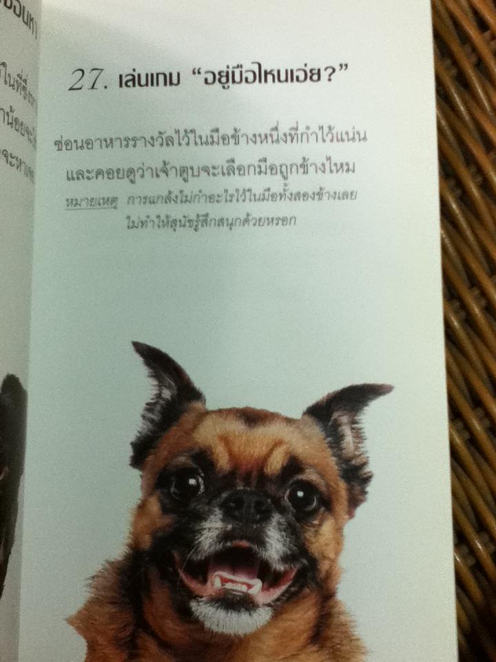 97 วิธีมีความสุขกับหมายิ้ม/ เจนนี่ แลงเบห์น