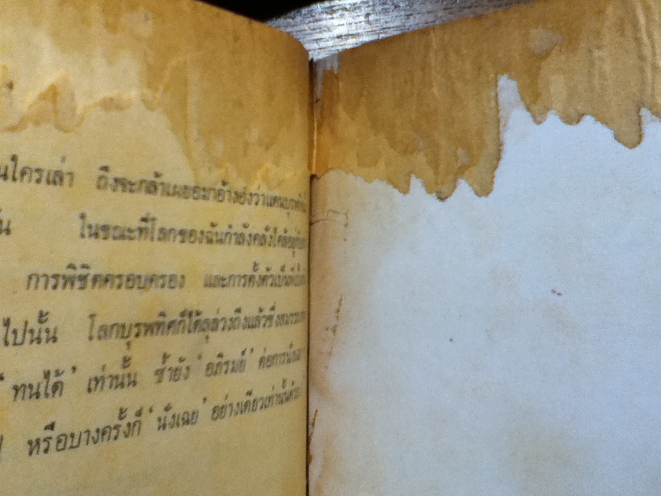 แหม่มในเมืองแขก Judy in the Orient