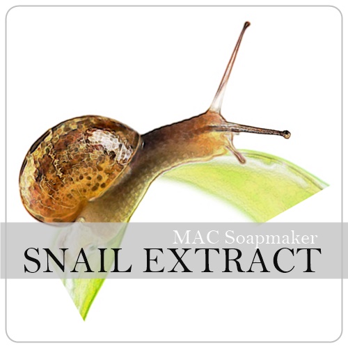 สารสกัด หอยทาก ชนิดน้ำ SNAIL EXTRACT 30-500 มล.