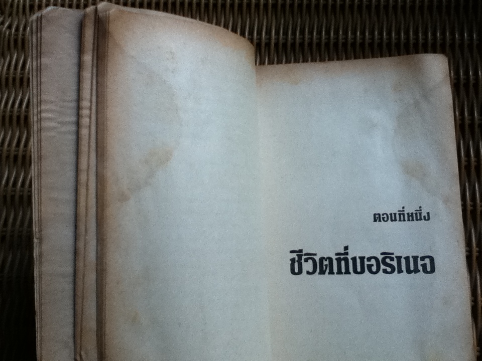 ไฟชีวิต/ เออร์วิง สโตน